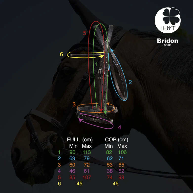 Bridon évolution contact sans pull-back – Cuir classique – In horse we trust – Image 6